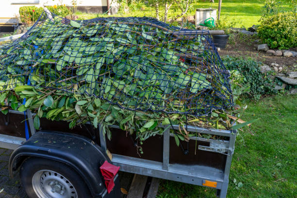 Best Carpet Removal and Disposal  in Clearview, WA